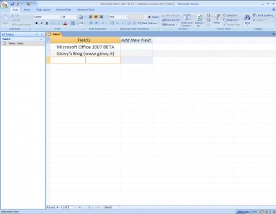 Microsoft Access 2007 Beta 1 01